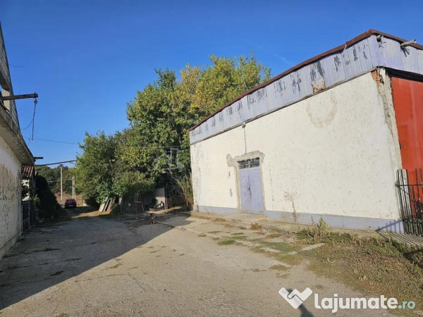 Hala industriala (1000 mp) si teren (4000 mp), Scornicesti, 