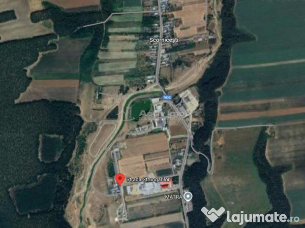 Hala industriala (1000 mp) si teren (4000 mp), Scornicesti, 