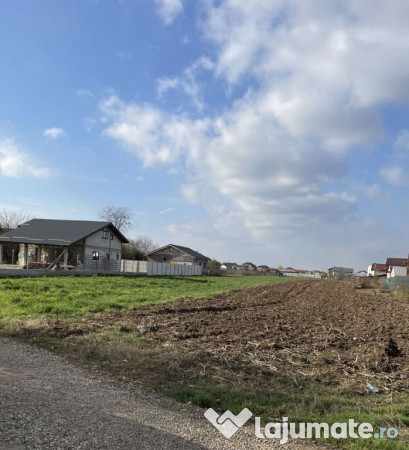 Teren 1800mp Intrarea Nefliu Magurele