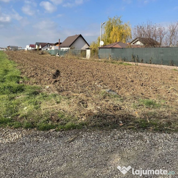 Teren 1800mp Intrarea Nefliu Magurele