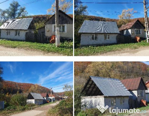 Casa si teren- Loc. Dognecea, jud. Caras-Severin