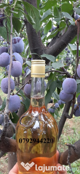 Palinca de:pere,mere,prune,caise,cirese,cirese amare,gutui,capsuni. 