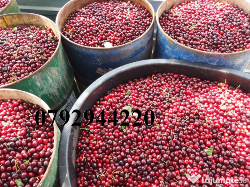 Palinca de:pere,mere,prune,caise,cirese,cirese amare,gutui,capsuni. 