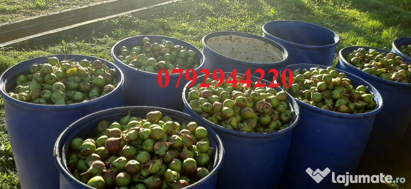 Palinca de:pere,mere,prune,caise,cirese,cirese amare,gutui,capsuni. 