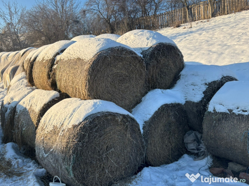 Baloti de paie, rotunzi 