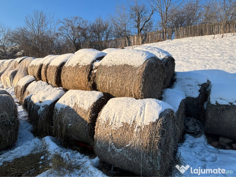 Baloti de paie, rotunzi 