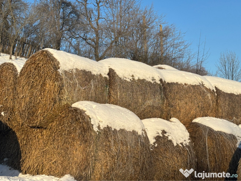 Baloti de paie, rotunzi 