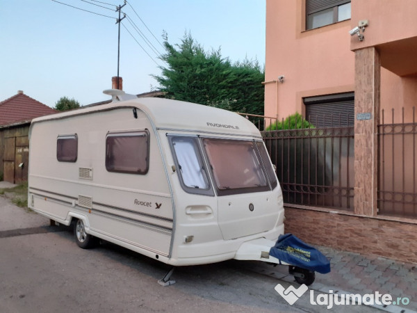 Rulota Avondale avocet 