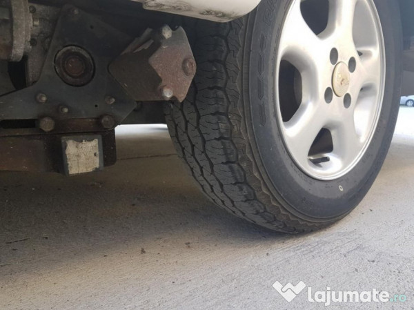 Rulota Avondale avocet 