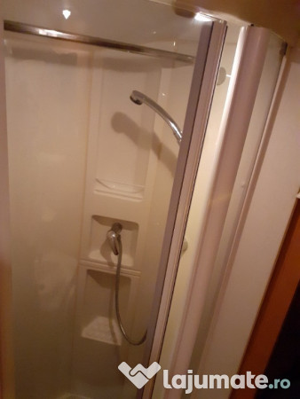 Rulota Avondale avocet 