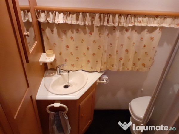 Rulota Avondale avocet 