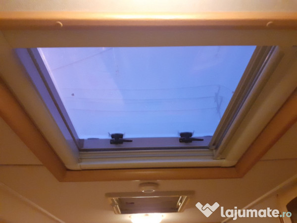 Rulota Avondale avocet 