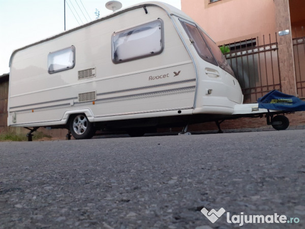 Rulota Avondale avocet 