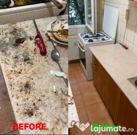 Ofer servicii curățenie profesionale la domiciliu Experienta 30 ani 