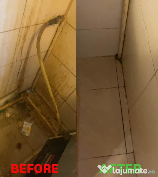 Ofer servicii curățenie profesionale la domiciliu Experienta 30 ani 