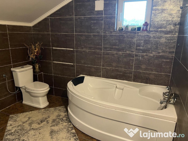 Proprietar, casă+afacere la cheie Hantesti, Suceava 