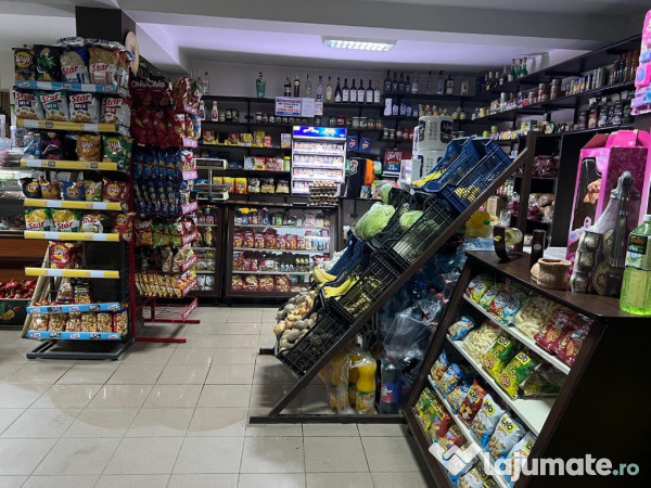 Proprietar, casă+afacere la cheie Hantesti, Suceava 