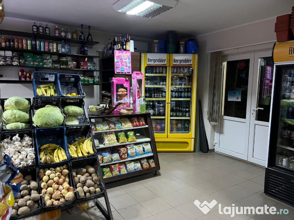 Proprietar, casă+afacere la cheie Hantesti, Suceava 