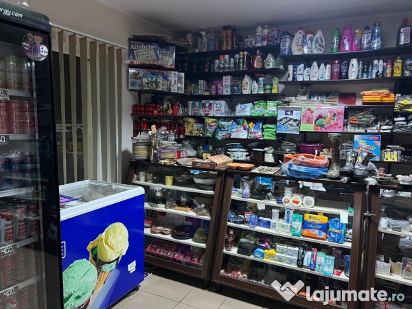 Proprietar, casă+afacere la cheie Hantesti, Suceava 