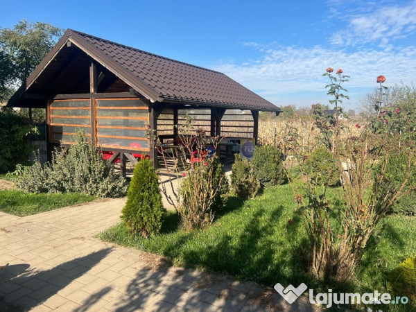 Proprietar, casă+afacere la cheie Hantesti, Suceava 