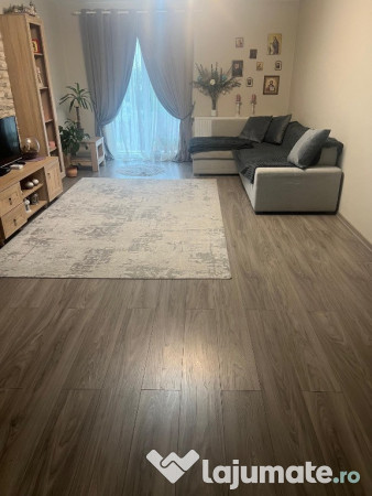 Proprietar, casă+afacere la cheie Hantesti, Suceava 