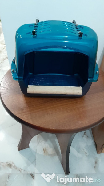 Cadă (piscină) papagali mari 