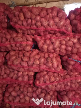 Cartofi consum sortat 