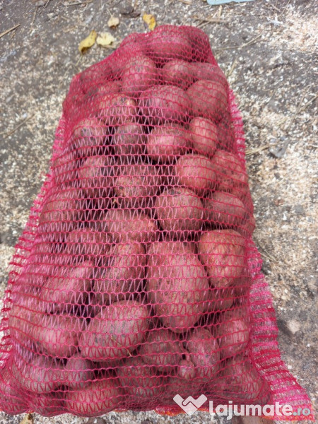 Cartofi consum sortat 