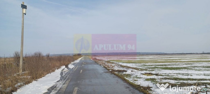 Cosoba, teren 7600 mp intravilan pe str Guliei 