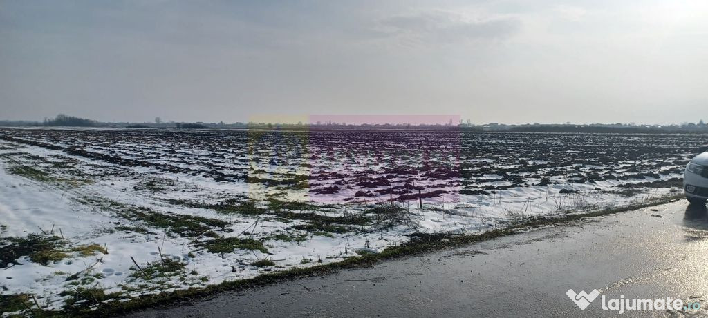 Cosoba, teren 7600 mp intravilan pe str Guliei 