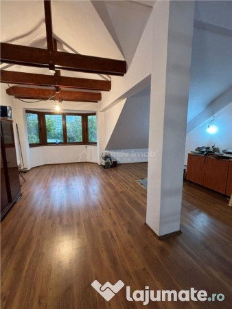 Vila Premium, Robusta, Versatila, Colentina (Parc Plumbuita) 