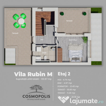 Vila 5 camere Cosmopolis Evolia 