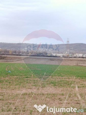 De vanzare teren 2374mp Cheriu langa Solay Events 