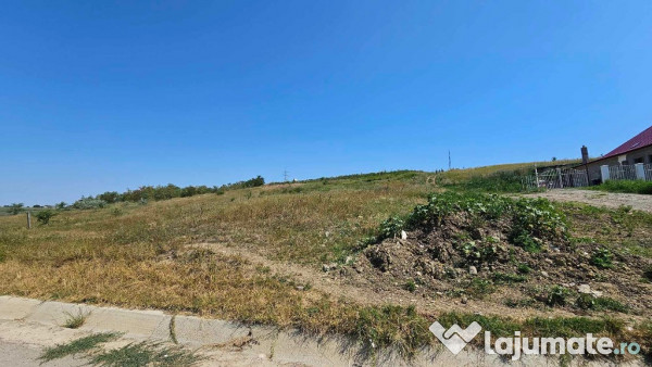 Teren 2.340mp, Dancas – Miroslava, 