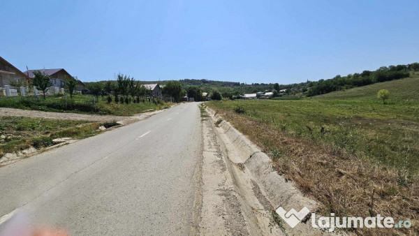 Teren 2.340mp, Dancas – Miroslava, 