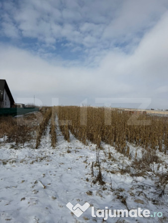 Teren Extravilan 33,6 ari, Zona Frumoasa, Scheia. 