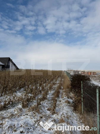 Teren Extravilan 33,6 ari, Zona Frumoasa, Scheia. 