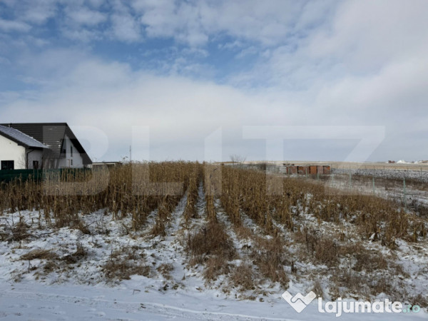 Teren Extravilan 33,6 ari, Zona Frumoasa, Scheia. 