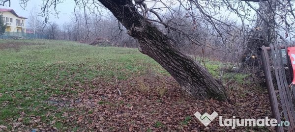 Proprietar Teren intravilan 1560mp sat Bobolia PH (negociabil) 