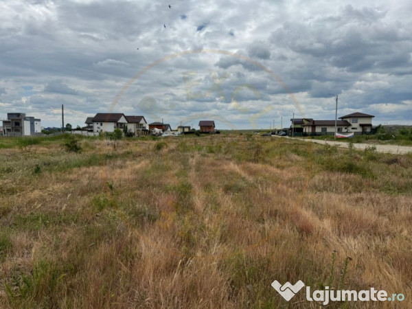 Teren 10.000 mp - Str. Octavian Goga, Craiovei!