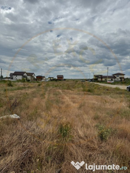 Teren 10.000 mp - Str. Octavian Goga, Craiovei!