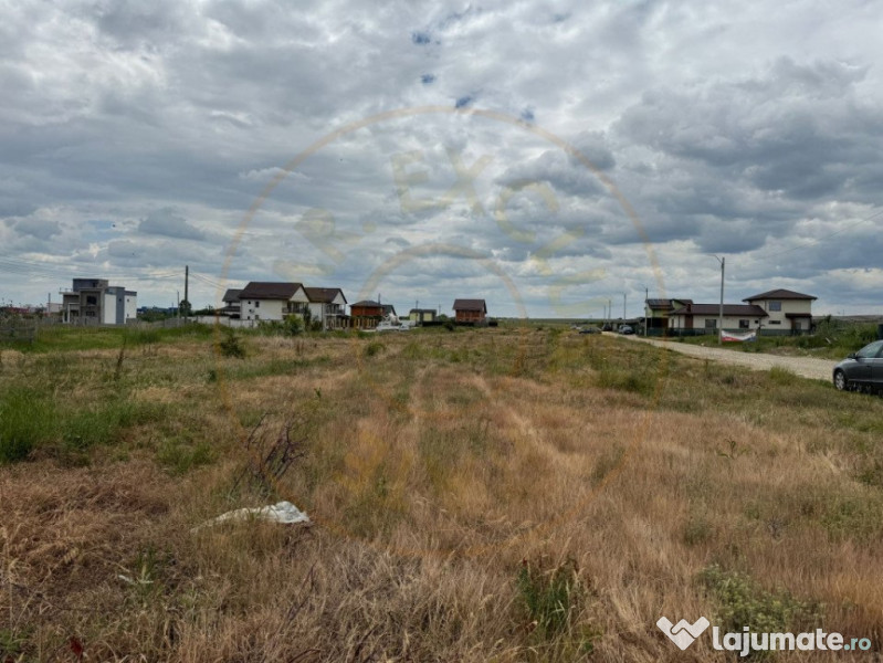 Teren 10.000 mp - Str. Octavian Goga, Craiovei!