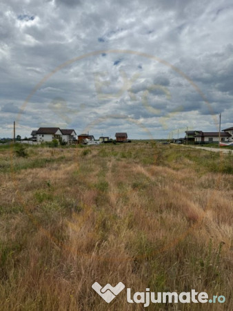 Teren 10.000 mp - Str. Octavian Goga, Craiovei!