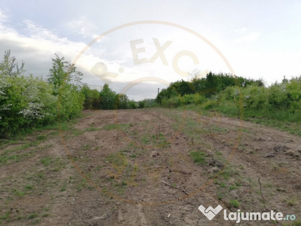Teren 2000 mp intravilan Smeura-Mosoaia. Comision 0%