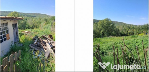 Casa si teren Apostolache, ID R2202581