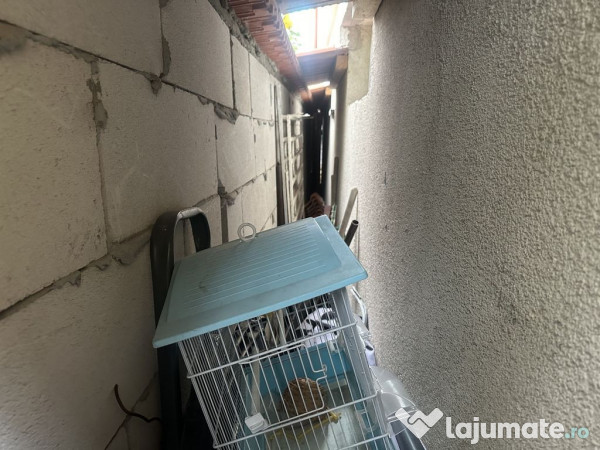 Casa / Vila zona Coiciu 