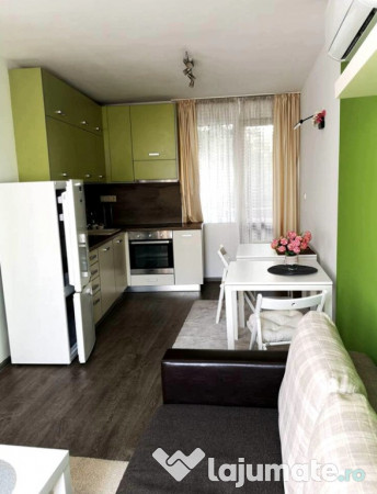 Apartament cu 1 camera in zona Buziasului 