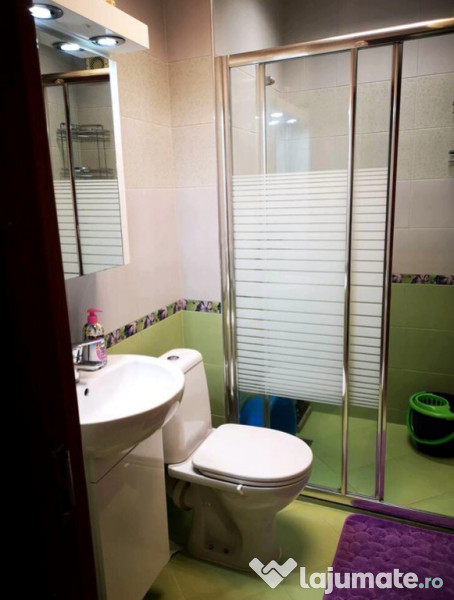 Apartament cu 1 camera in zona Buziasului 