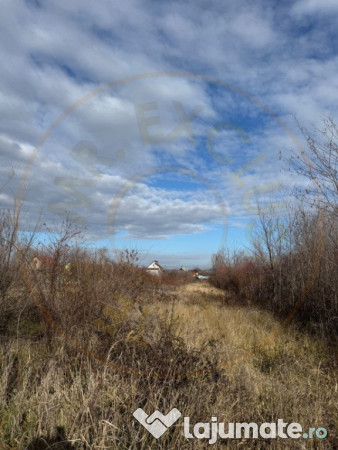 Teren intravilan Bananai - 2939 mp