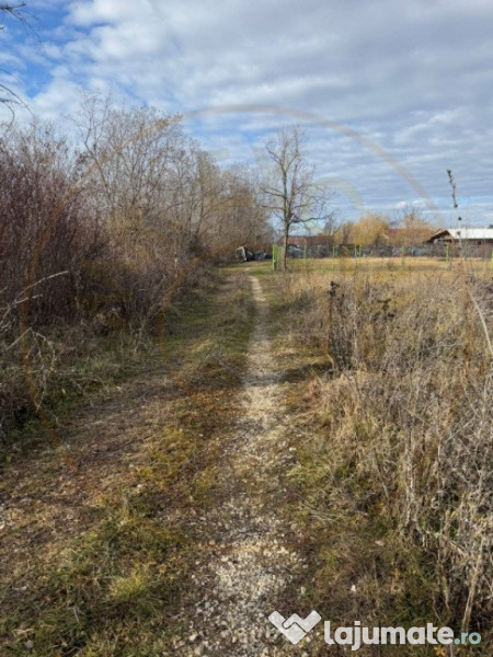 Teren intravilan Bananai - 2939 mp